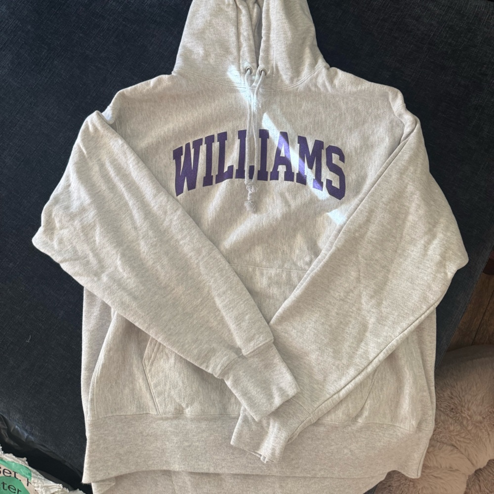 Williams College Champion Gray Hoodie